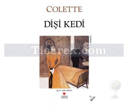 Dişi Kedi | Colette - Resim 1