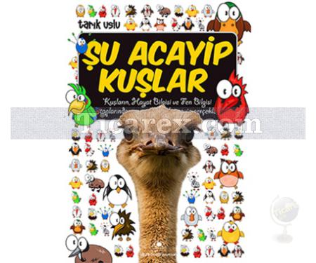 Şu Acayip Kuşlar | Tarık Uslu - Resim 1