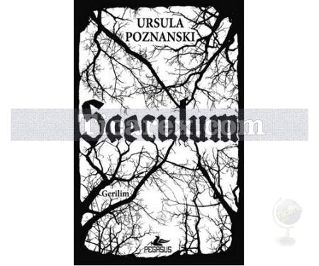 Saeculum | Ursula Poznanski - Resim 1