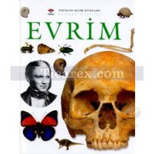 Evrim | Linda Gamlin