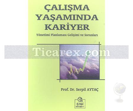 Çalışma Yaşamında Kariyer | Serpil Aytaç - Resim 1