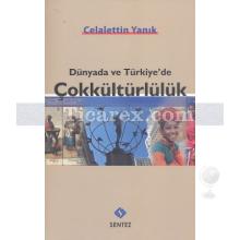 Dünyada ve Türkiye'de Çokkültürlülük | Celalettin Yanık