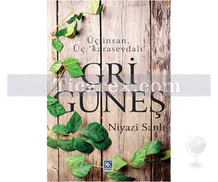 Gri Güneş | Niyazi Sanlı - Resim 1