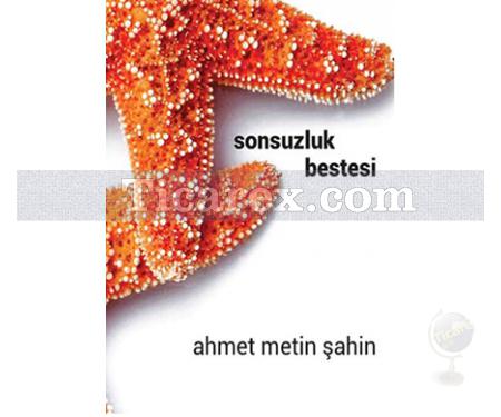 Sonsuzluk Bestesi | Ahmet Metin Şahin - Resim 1