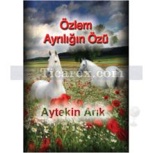 Özlem Ayrılığın Özü | Aytekin Arık