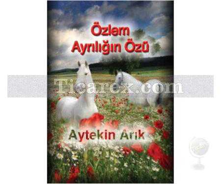 Özlem Ayrılığın Özü | Aytekin Arık - Resim 1