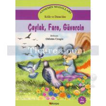 caylak_fare_guvercin