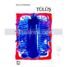 tulus