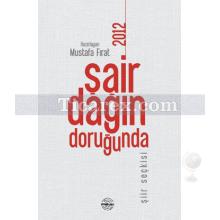 Şair Dağın Doruğunda - 2012 | Mustafa Fırat