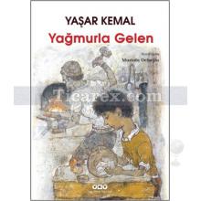 yagmurla_gelen