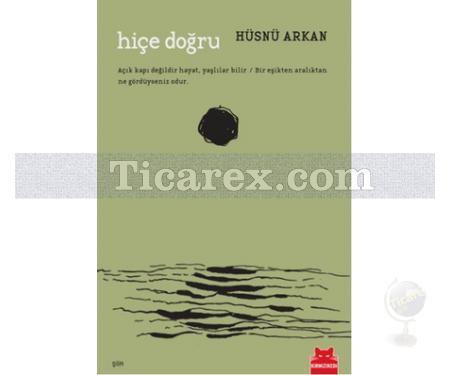 Hiçe Doğru | Hüsnü Arkan - Resim 1