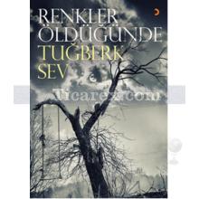 renkler_oldugunde