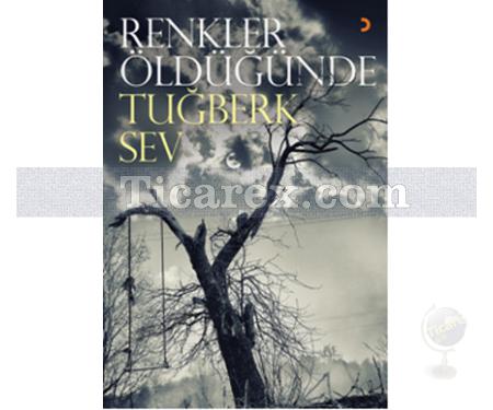 Renkler Öldüğünde | Tuğberk Sev - Resim 1