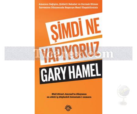 Şimdi Ne Yapıyoruz | Gary Hamel - Resim 1