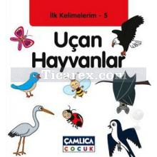 İlk Kelimelerim 5 - Uçan Hayvanlar | Bilal Gezer