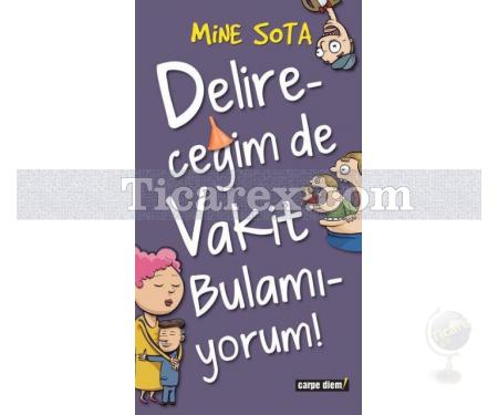 Delireceğim de Vakit Bulamıyorum | Mine Sota - Resim 1