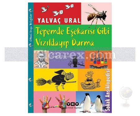 Tepemde Eşekarısı Gibi Vızıldayıp Durma | Sokak Ansiklopedisi | Yalvaç Ural - Resim 1