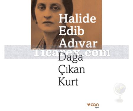 Dağa Çıkan Kurt | Halide Edib Adıvar - Resim 1