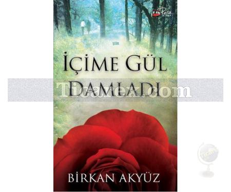 İçime Gül Damladı | Birkan Akyüz - Resim 1