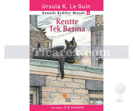 Kentte Tek Başına | Kanatlı Kediler Masalı 4 | Ursula K. Le Guin - Resim 1