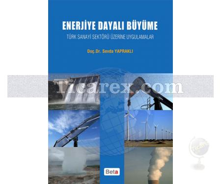 Enerjiye Dayalı Büyüme | Sevda Yapraklı - Resim 1