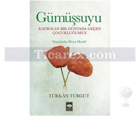 Gümüşsuyu | Türkan Turgut - Resim 1