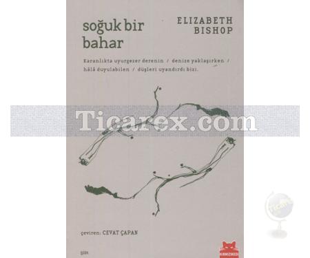 Soğuk Bir Bahar | Elizabeth Bishop - Resim 1