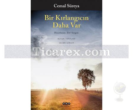 Bir Kırlangıcın Daha Var | Cemal Süreya - Resim 1