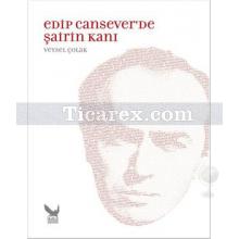 Edip Cansever'de Şairin Kanı | Veysel Çolak