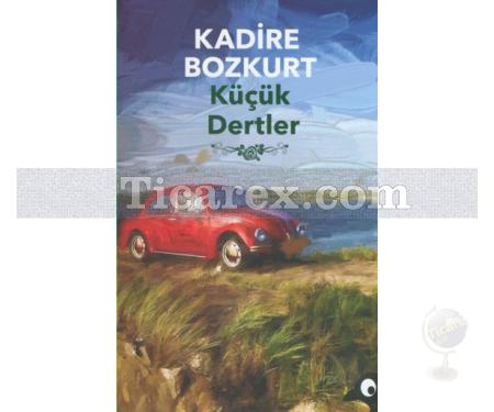 Küçük Dertler | Kadire Bozkurt - Resim 1