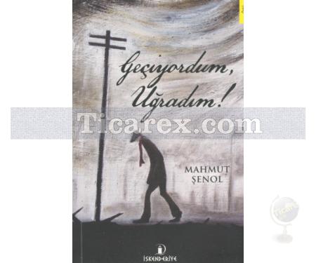 Geçiyordum, Uğradım! | Mahmut Şenol - Resim 1