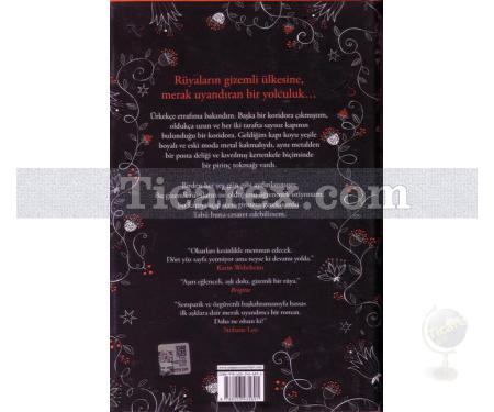 Silber | Rüyalar Kitabı 1 | Kerstin Gier - Resim 2