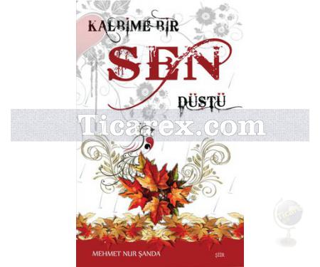 Kalbime Bir Sen Düştü | Mehmet Nur Şanda - Resim 1