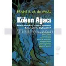 koken_agaci