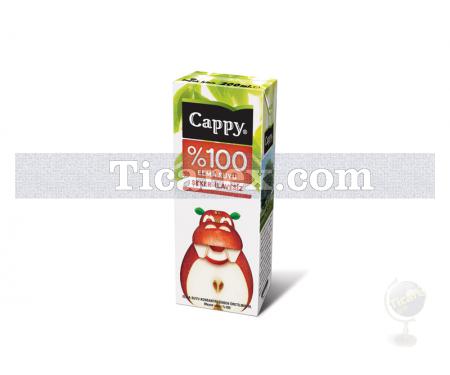 Cappy %100 Meyve Suyu - Elma | 200 ml - Resim 1