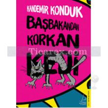 basbakandan_korkan_kedi