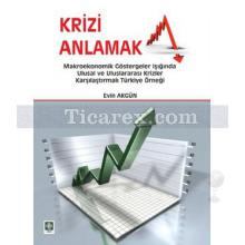 krizi_anlamak