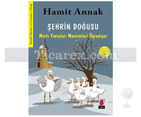 Şehrin Doğusu | Meraklı Martılar ve Çevremiz 3 | Hamit Annak - Resim 1