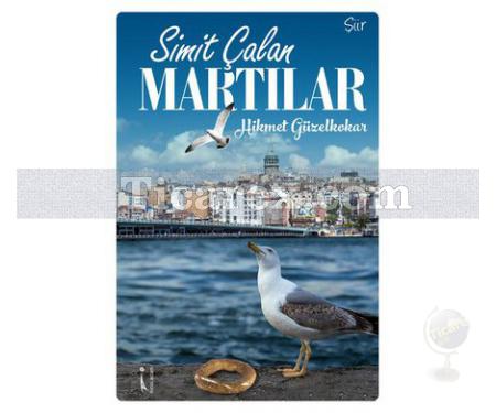 Simit Çalan Martılar | Hikmet Güzelkokar - Resim 1