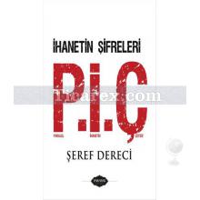 paralel_ihanet_cetesi_p.i.c