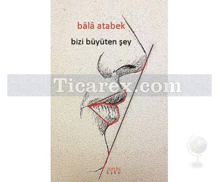 Bizi Büyüten Şey | Bala Atabek - Resim 1