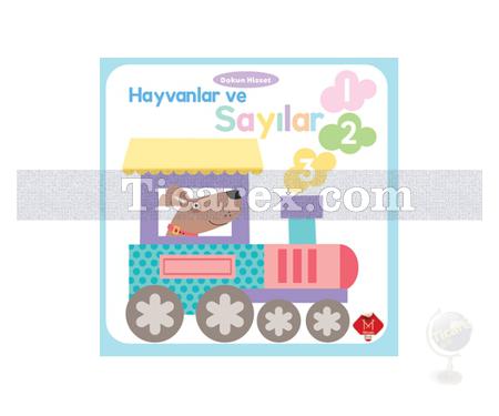 Hayvanlar ve Sayılar 1 2 3 | Dokun Hisset | Maxine Davenport, Cindy Roberts - Resim 1