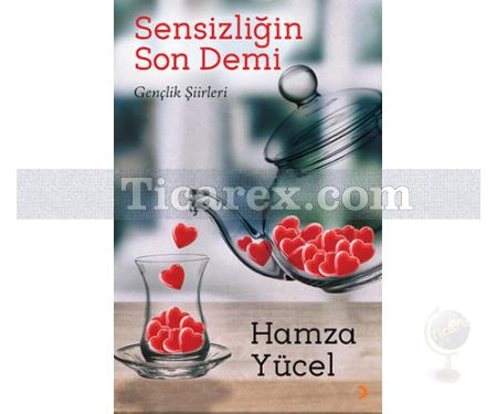 Sensizliğin Son Demi | Hamza Yücel - Resim 1