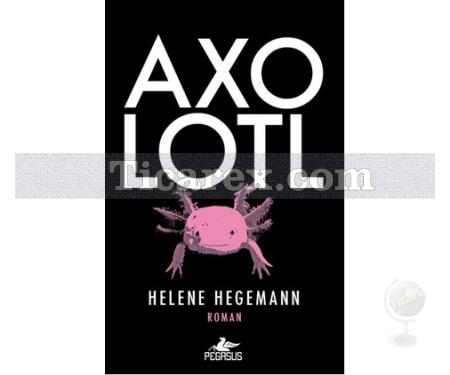 Axolotl | Helene Hegemann - Resim 1