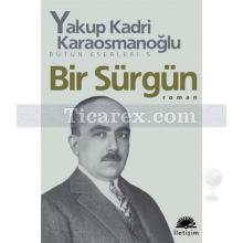 bir_surgun