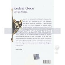 kedisi_gece