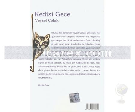 Kedisi Gece | Veysel Çolak - Resim 2