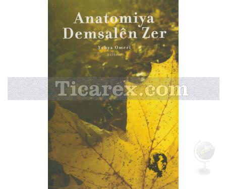 Anatomiya Demsalên Zer | Yehya Omeri - Resim 1