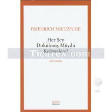 Her Şey Dökülmüş Müydü Kelimelere? | Friedrich Nietzsche