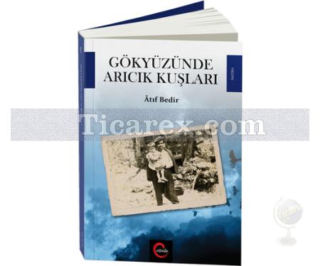 Gökyüzünde Arıcık Kuşları | Atıf Bedir - Resim 1